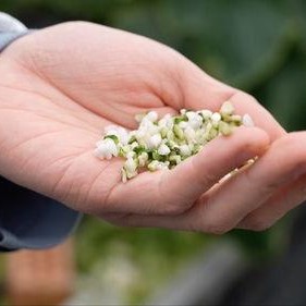 亚洲 国产 熟,国产熟品鉴之旅